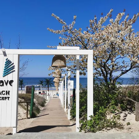 Your Holidays Waves Zlote Filary D653 *